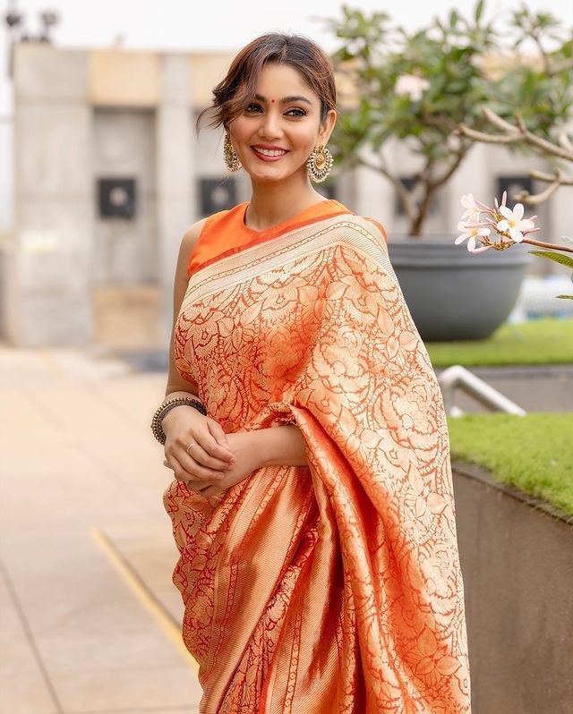 Kanjivaram Traditional Pure Soft Silk With Gold Zari by Icultuer