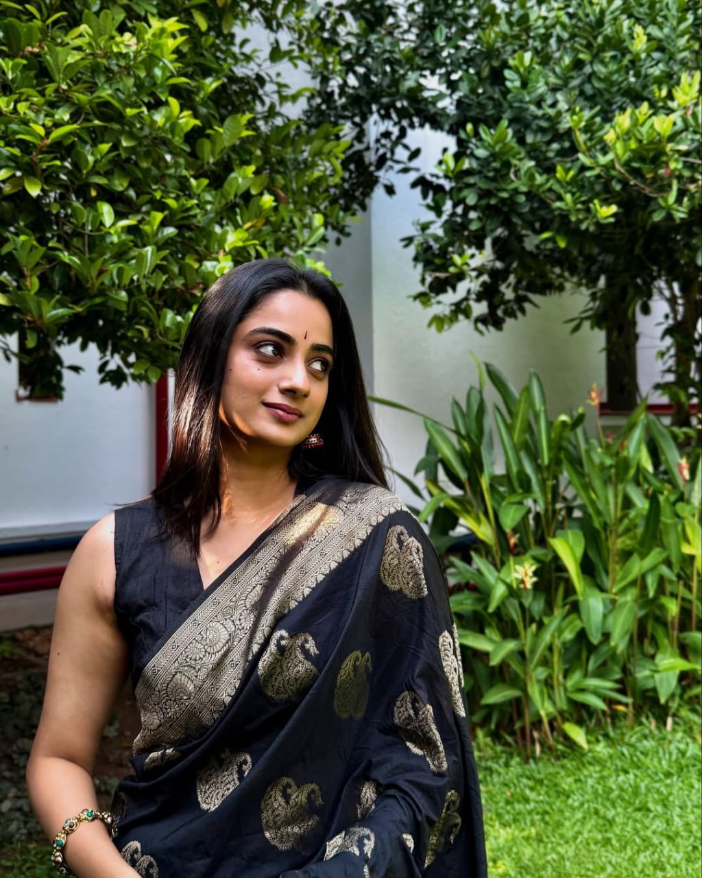 Black Banarasi Silk Saree with icultural Gold Zari Weaving