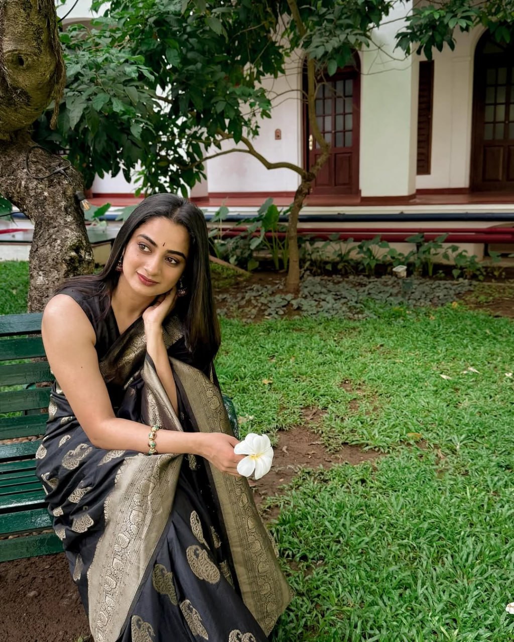Black Banarasi Silk Saree with icultural Gold Zari Weaving