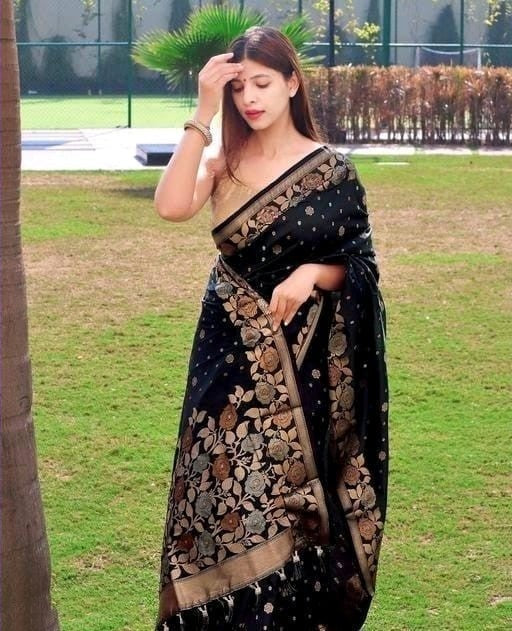 Black Soft Banarasi Silk Saree with Jacquard Weaving
