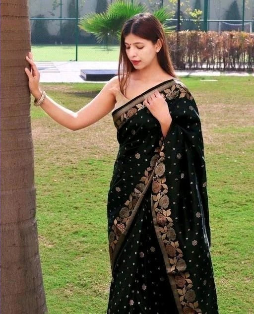 Black Soft Banarasi Silk Saree with Jacquard Weaving