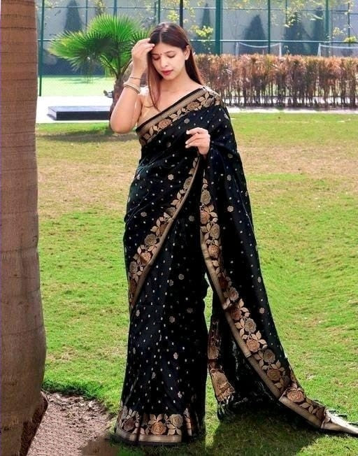 Black Soft Banarasi Silk Saree with Jacquard Weaving